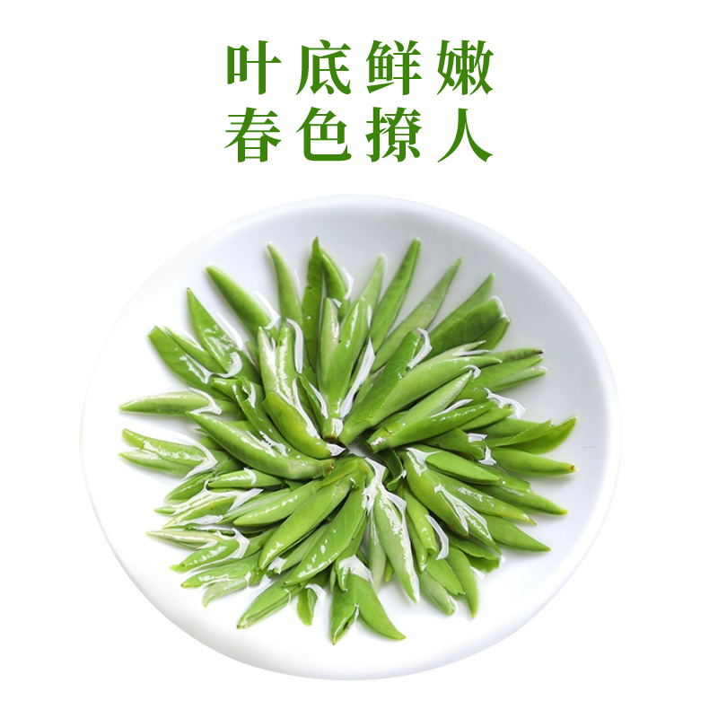 2021年礼盒款新茶上市 特级雀舌绿茶茶叶100g 浓香型明前早茶高清大图