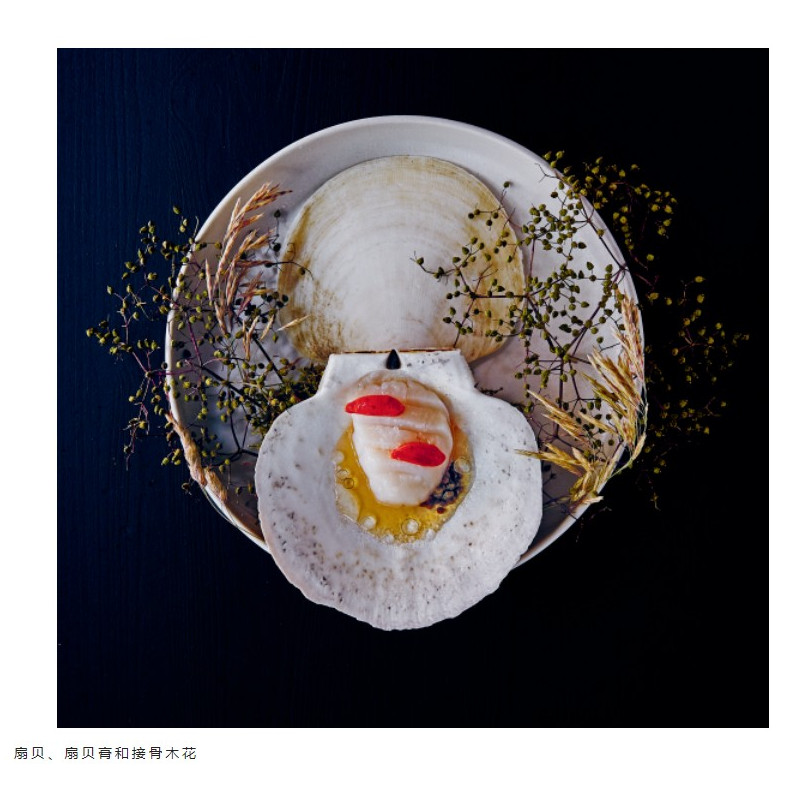 [正版]精装书 主厨的餐桌 影响烹饪历史的237道招牌菜 世界美食编年史 全世界知名餐厅的招牌菜历史起源食谱 餐饮业美