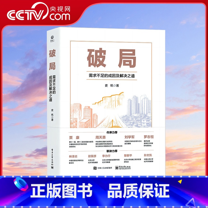 [正版]央视网破局:需求不足的成因及解决之道 史帆著 资本投资理财私募基金决策者经济学原理推导经济困局解决方法的书籍
