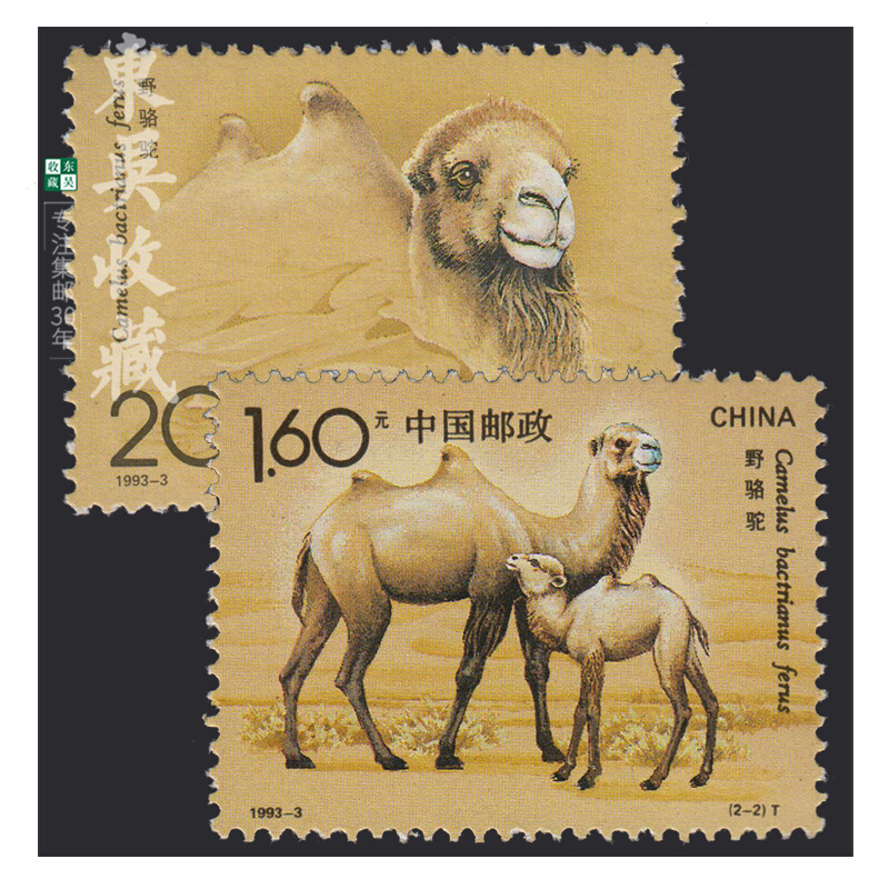 东吴收藏1993年邮票集邮19933野骆驼保真
