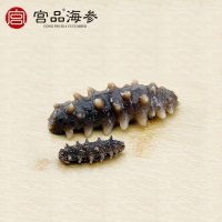 宫品淡干单只家用小海参3-3.4cm 1只 每满20只赠1只 威海大连海参双基地随机发简装