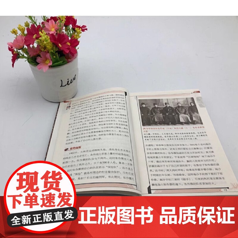 正版书籍 民国往事 中国近现代民国历史人物传记书籍 张作霖吴佩孚杨度徐志摩朱自清张爱玲梅兰芳传记从晚清到民国高清大图