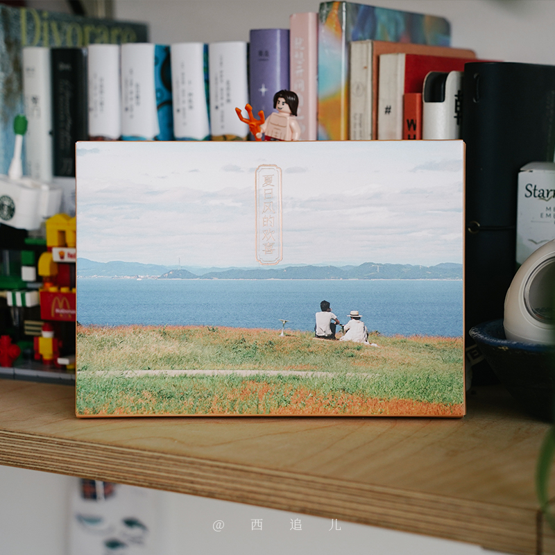 [正版]夏日风的欢喜 摄影师@西追儿28张日本风光风景摄影作品胶片拍摄 清新自然文艺浪漫出类艺术明信片创意唯美插画集文高清大图