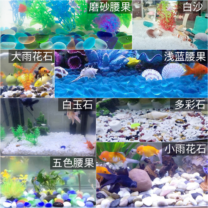 鱼缸底砂装饰造景石河沙底砂珊瑚石白沙溪流金海沙雨林水晶石头高清大图