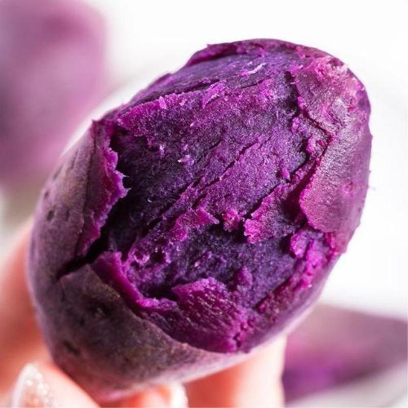 沙地小紫薯新鲜蜜板栗紫薯鲜紫薯地瓜番署红薯批发10带箱大果