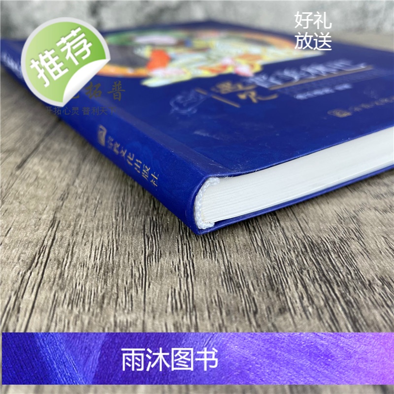 2021新版 遇见晋美林巴-智悲光开启广而甚深的龙钦宁提意伏藏法门 德兰根迥高清大图