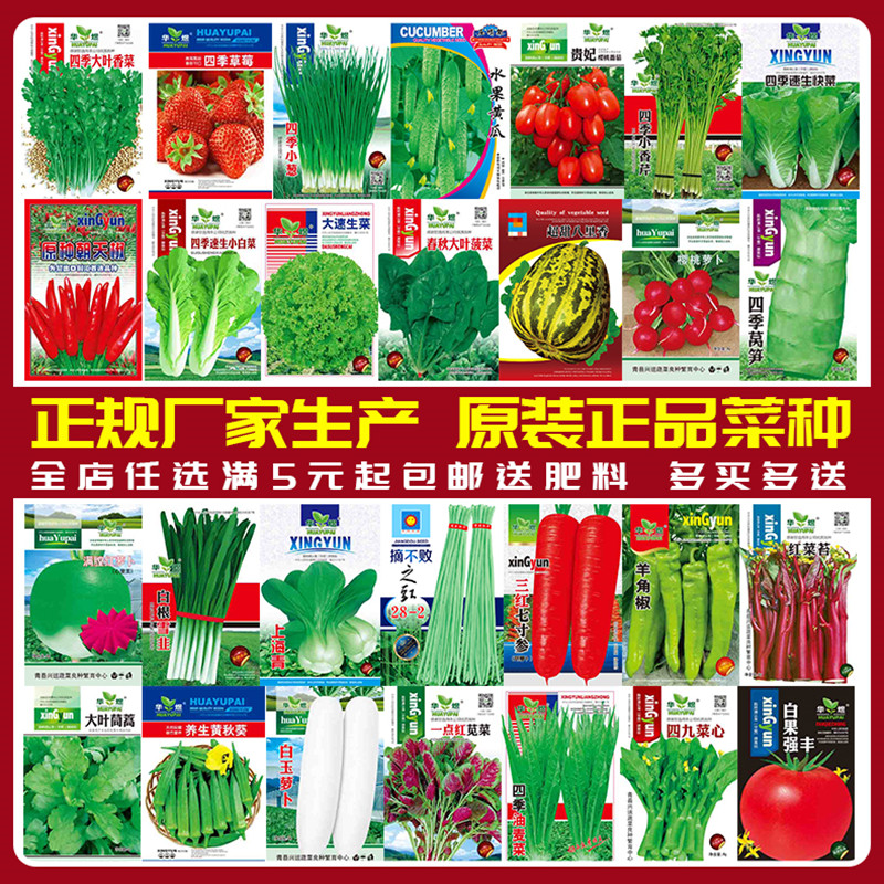 [补贴10%]蔬菜种子四季播盆栽阳台庭院香菜生菜菠菜小葱简单秋易种籽孑大全高清大图