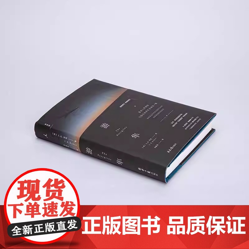 游隼 J. A. 贝克 著 自然文学 绝版经典 影响超过半个世纪的伟大杰作 一本关于如何成为一只鹰的书 理想国图书正版书高清大图
