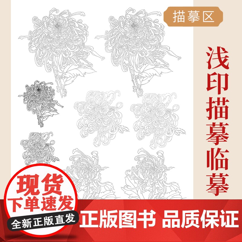 中国画白描入门描摹本国画工笔花卉美术套装画本工具描红书初学者画画临摹画册毛笔绘画练习教材高清大图
