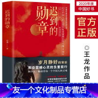 【友一个】迟到的勋章 王龙著 献礼中国人民志愿军入朝作战七十周年的重磅力作 抗美援朝期间一位平凡老兵的英雄赞歌先间