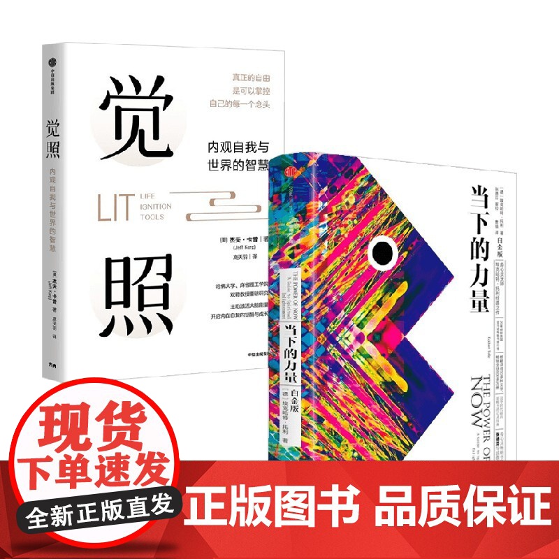 觉照+当下的力量 杰夫·卡普等 著 励志与成功高清大图