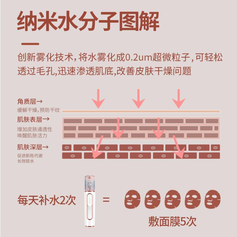 双孔纳米喷雾补水仪脸部美容仪喷雾器冷喷蒸脸器便携式充电加湿器 单喷补水仪粉 可喷矿泉水