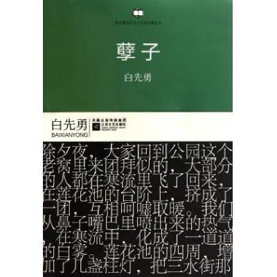 孽子港台暨海外华人作家经典丛书白先勇9787539939483