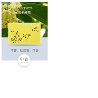 香百年汽车香水车载固体香膏车用香薰摆件车内香盒除异味持久淡香氛空气清新剂-Z164桂花香型