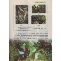 2017使用54五四制鲁科版初中生物七年级上册生物书 课本教材 山东科学技术出版社 义务教育教科书(54学制)生物学七年