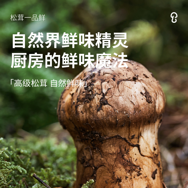 松鲜鲜 松茸一品鲜310g*2瓶 代替酱油生抽 0添加0蔗糖 凉拌炒菜调味高清大图