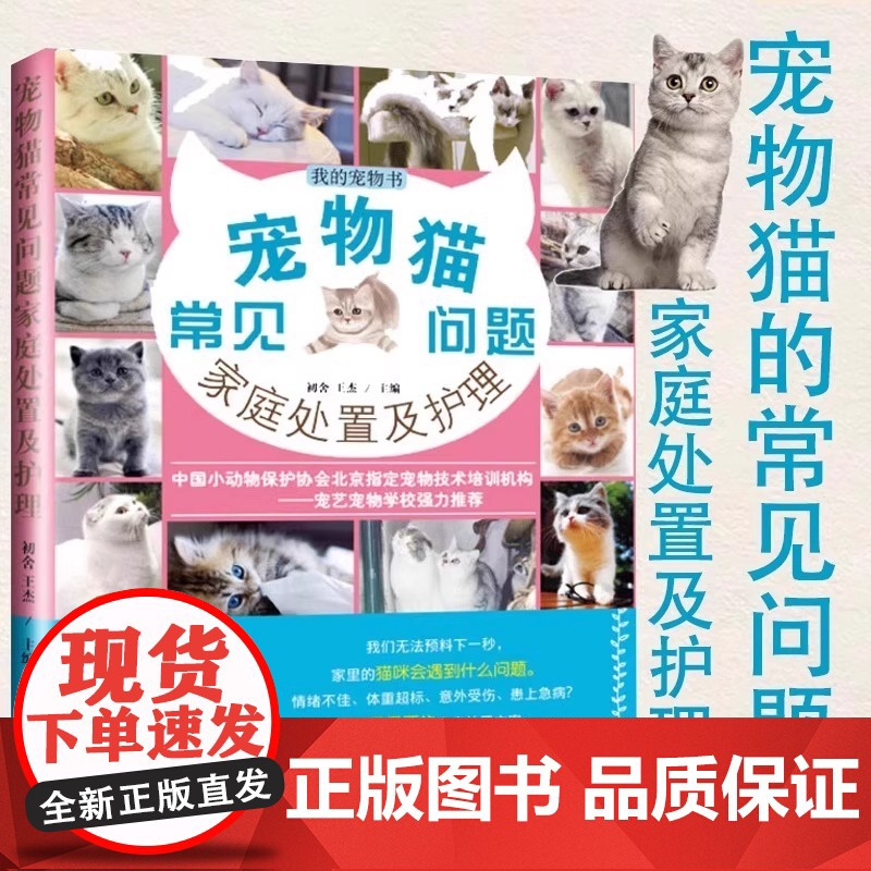 宠物猫常见问题家庭处置及护理 我的宠物书 猫咪养护入门 养猫指南 猫奴进阶 猫咪健康护理 猫咪行为心理分析 专业的养猫参高清大图