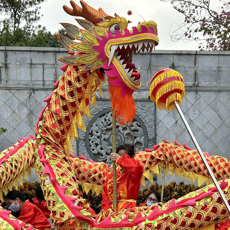 智美环球 舞龙 红色烫金龙牛津布3号国标5节整套
