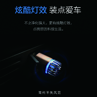 ZHUAX车载空气净化器车内除甲醛车用氧吧消除异味去除烟味负离子净化整车小点烟器转换插头USB汽车充电器快充一拖二多功能