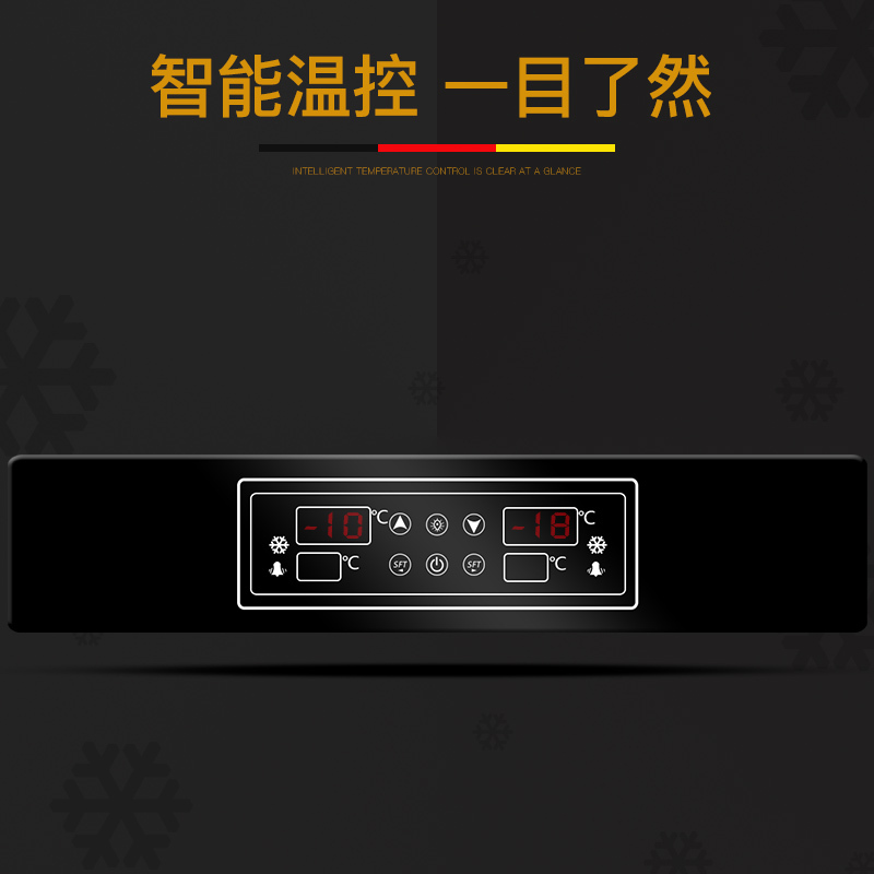 德玛仕(DEMASHI) 商用四门冰柜 立式冷藏冷冻保鲜 展示柜冷柜不锈钢冰箱 高身雪柜 BCD-900A 全冷冻工程款
