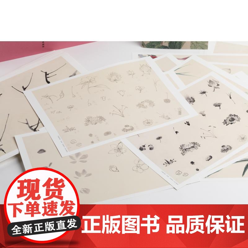 花鸟画谱花卉一 上海中国画院编上海书画出版社高清大图