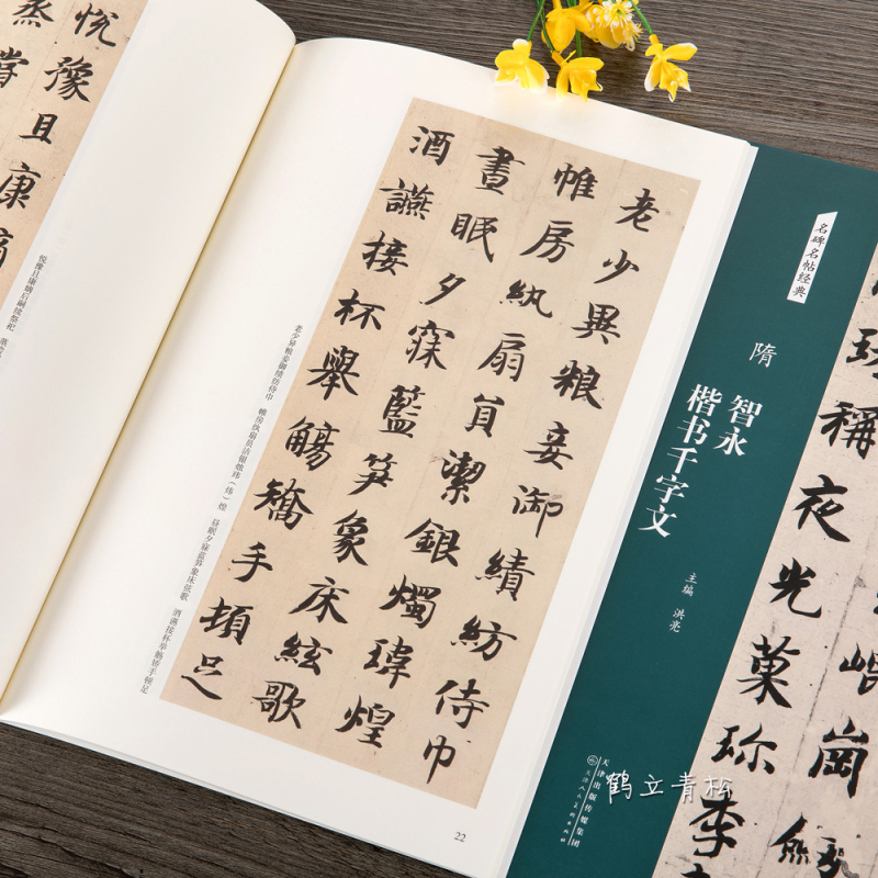 [正版]名碑名帖经典 隋 智永楷书千字文 简体旁注 楷书毛笔书法字帖碑帖