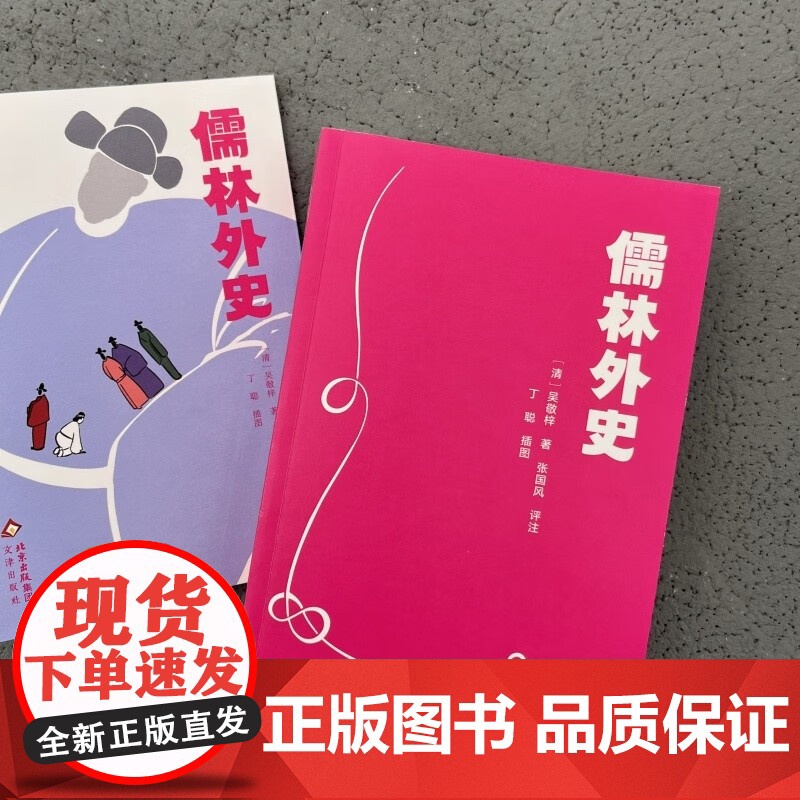 大家小书青春版 儒林外史 吴敬梓 著 中国文学高清大图