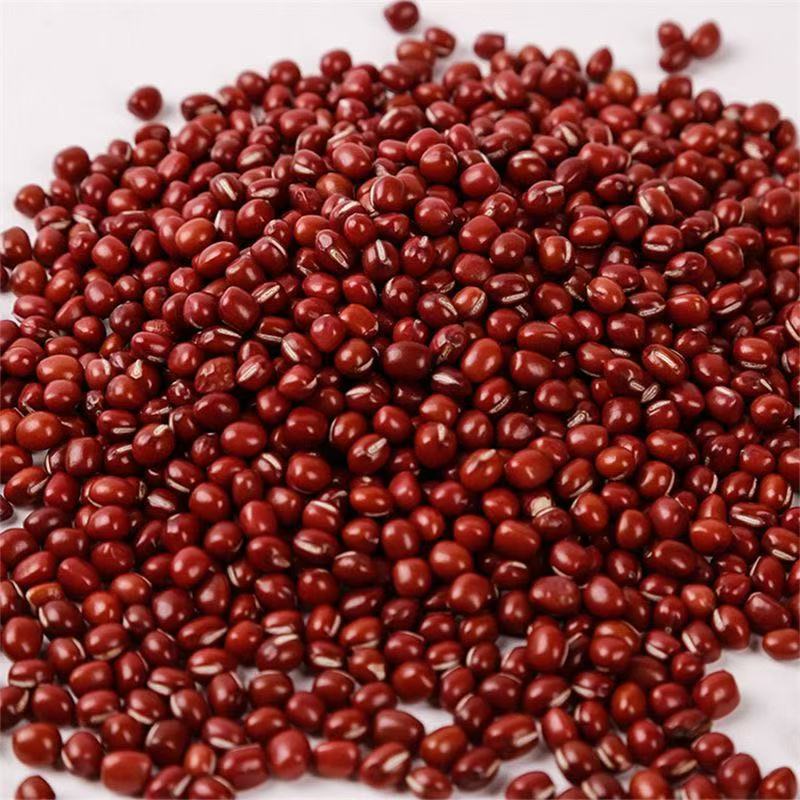 花祈鸿运 东北红豆2500克袋高清大图
