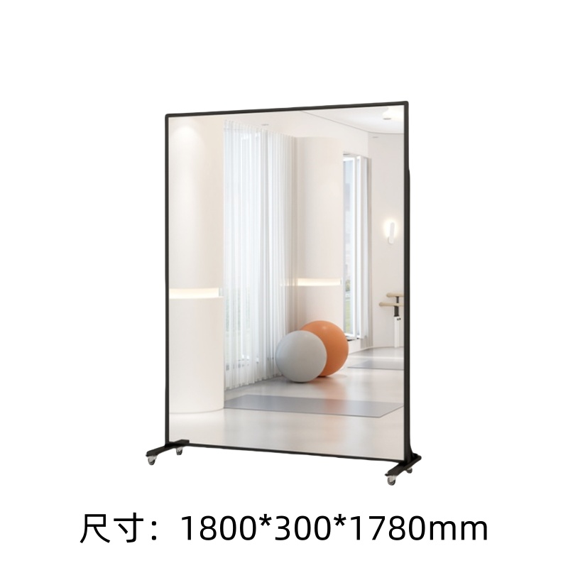 豪派伦穿衣镜移动个高清大图