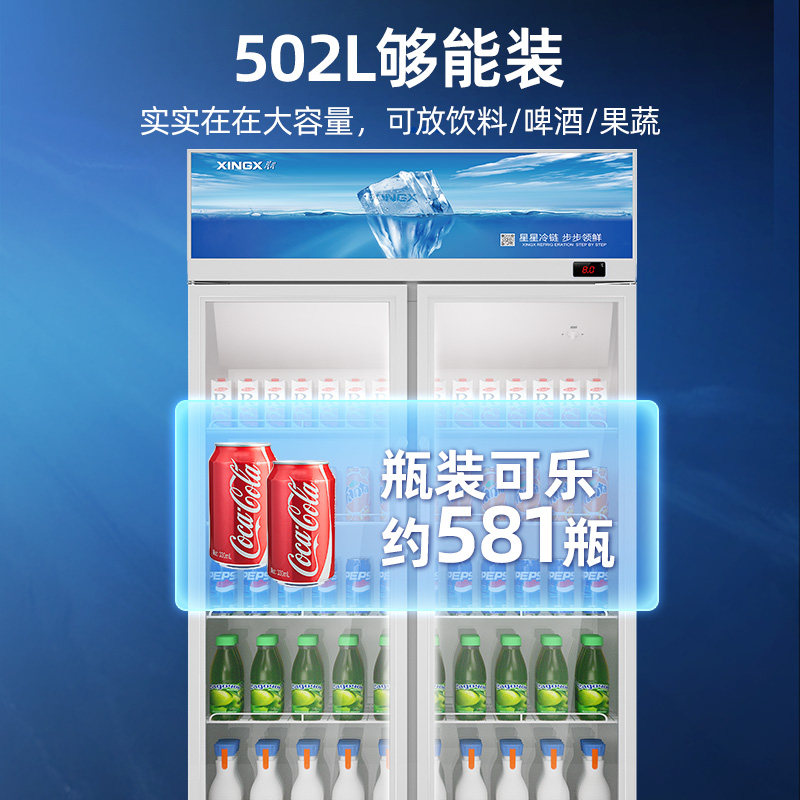 星星(XINGX) LGC-900FYE 大容量商用冷藏饮料柜二级能效风直冷冷藏两门立式展示柜饮料柜高清大图