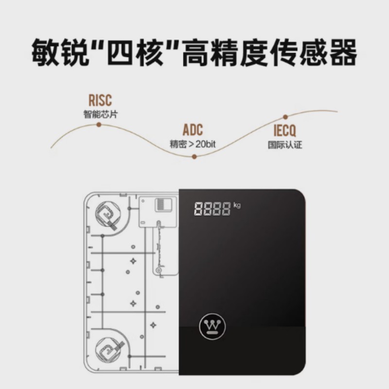 西屋(WESTINGHOUSE)精准家用健康电子秤体重秤T103高清大图