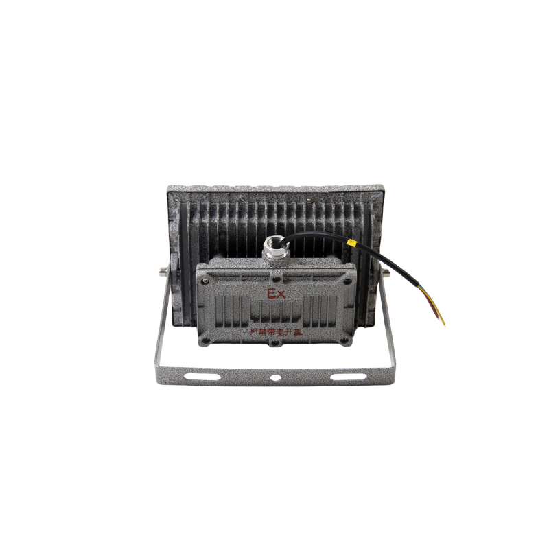 浙冠荣 GRDF97-100W 免维护LED防爆泛光灯250×210mm高清大图