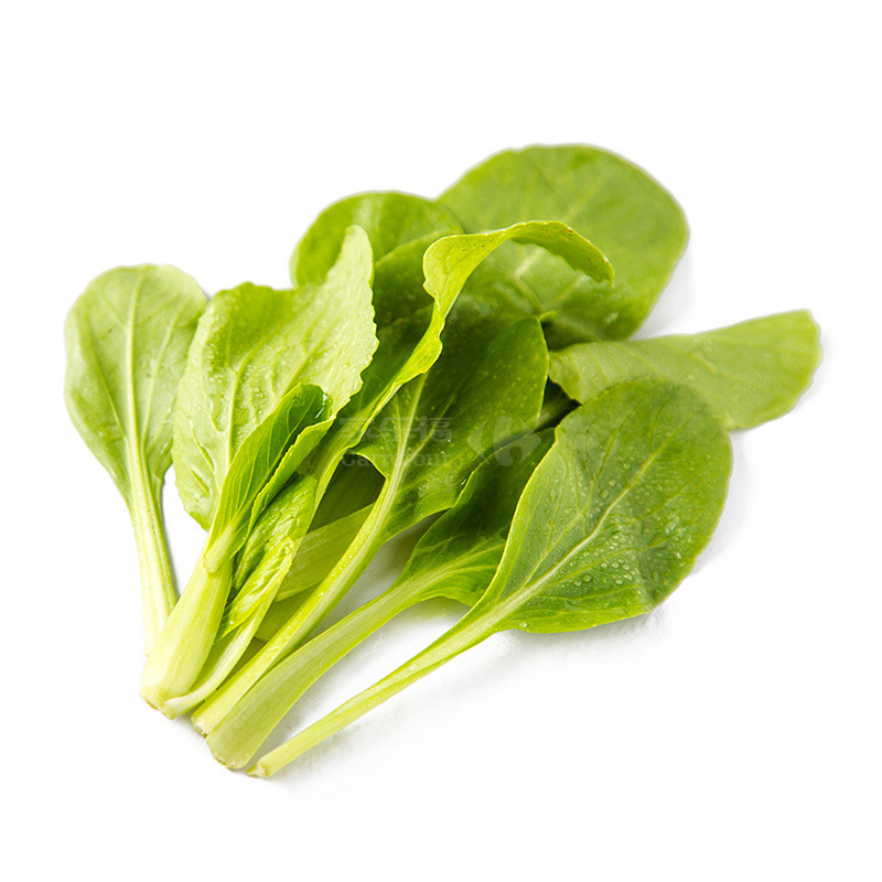 鸡毛菜约250g商品评价您没有填写评价内容