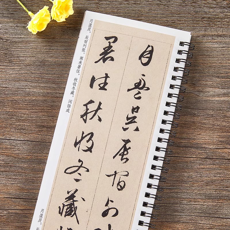 文征明行书千字文字帖 [正版]文徵明行书千字文字帖全文经典碑帖书法临摹字卡原大版墨迹本文征明行书毛笔书法字帖近距离临摹临高清大图