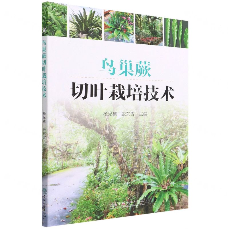 【N】鸟巢蕨切叶栽培技术-9787521915990