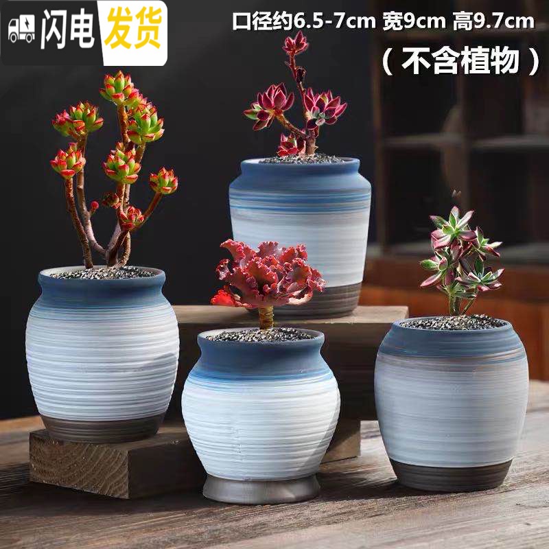 三维工匠多肉花盆陶瓷粗陶透气室内简约肉肉盆栽特大口径花盆 DL手造-16组合5个 中等花盆容器高清大图