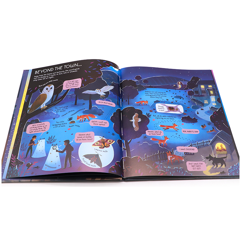 [正版]Usborne夜晚之书 英文原版绘本 The Usborne Book of Night Time 精装大开本