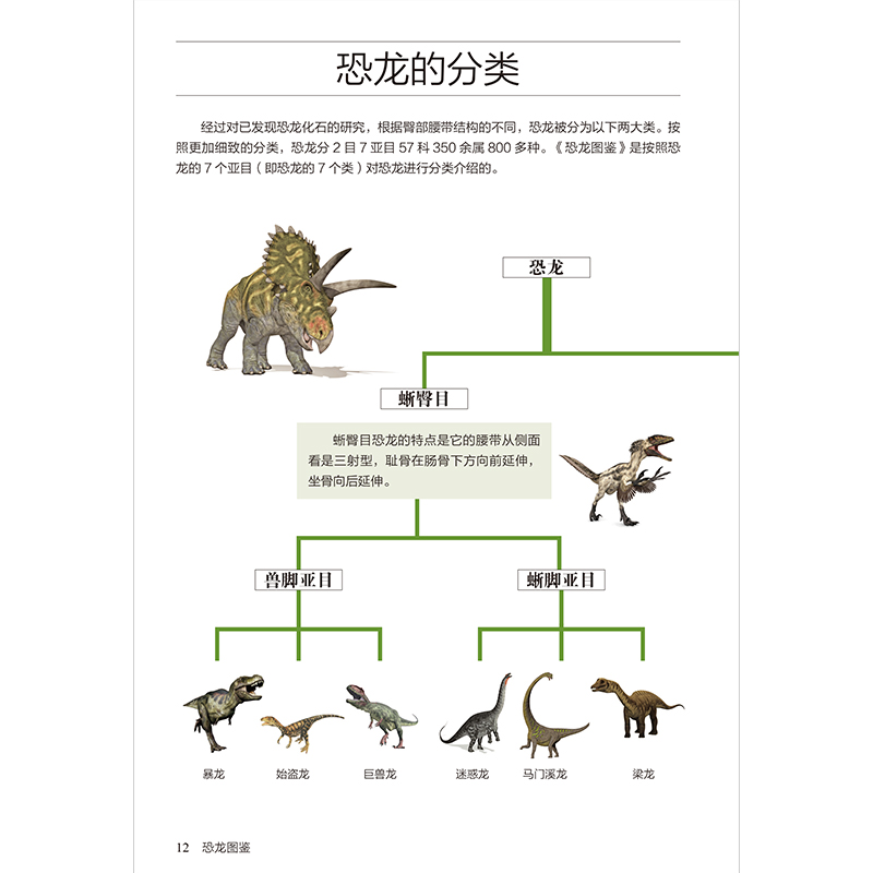 正版新书]恐龙图鉴赵文斌 主编 凤凰含章出品9787553756097高清大图