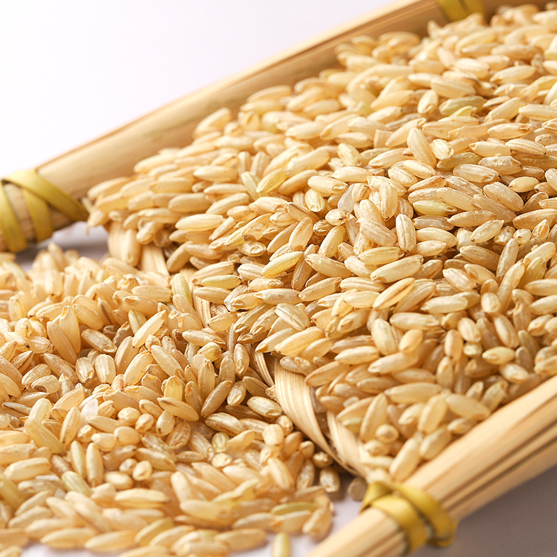 【礼品】十月稻田 糙米 杂粮米 粗粮 五谷杂粮 1kg