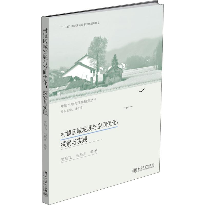 村镇区域发展与空间优化:探索与实践