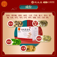 同仁堂防风通圣丸10袋便秘解表通里清热解毒恶寒风疹