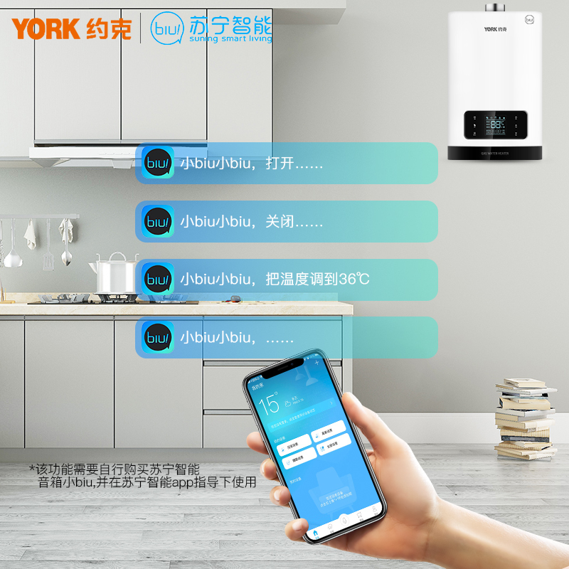 约克(YORK)13L 燃气热水器JSQ25-13 YK-DS5 天然气智能恒温防冻零冷水家用高清大图