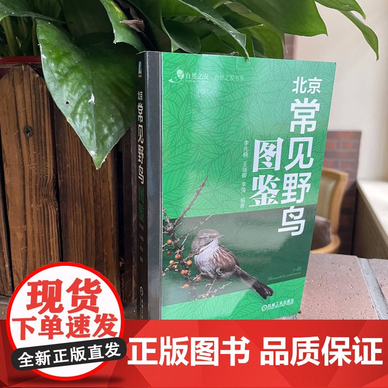 正版 北京常见野鸟图鉴 李兆楠 王瑞卿 李强 科普 北京 观鸟 9787111749417 机械工业出版社高清大图