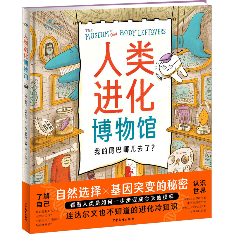 [M]人类进化博物馆-9787558916632高清大图