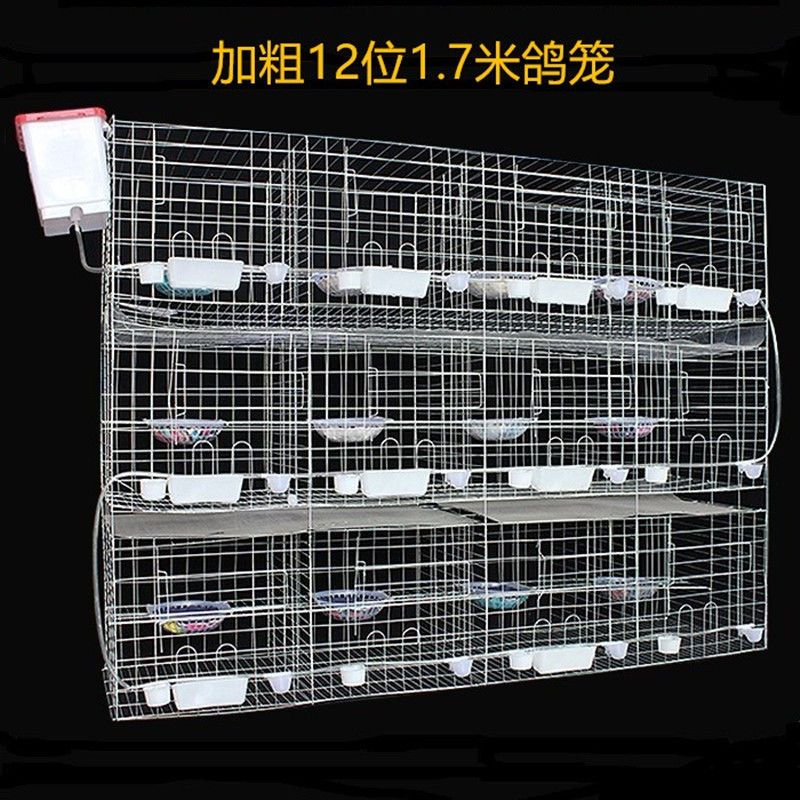 加粗4位裸笼16位肉鸽养殖笼12位种鸽子繁殖笼大号配对鸽笼鸽子笼子