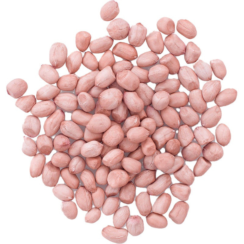 湛航坚果 新货花生米 新花生米批发生花生白沙粉红皮去壳干落花生 价格图片品牌报价 苏宁易购博多客旗舰店
