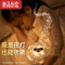 真智力星空灯投影仪儿童音乐八音盒发光玩具女孩子婴儿的生日礼物小夜灯 月光兔[蓝牙款]送14套图案+精美包装.