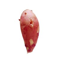 【中华特色】凤翔馆陕西凤翔关中缘 桂花板栗红薯2斤 新鲜地瓜番薯 陕西特产 红皮小红芋 1kg西北