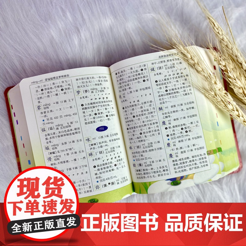 新版小学生多功能字典(全彩版)高清大图