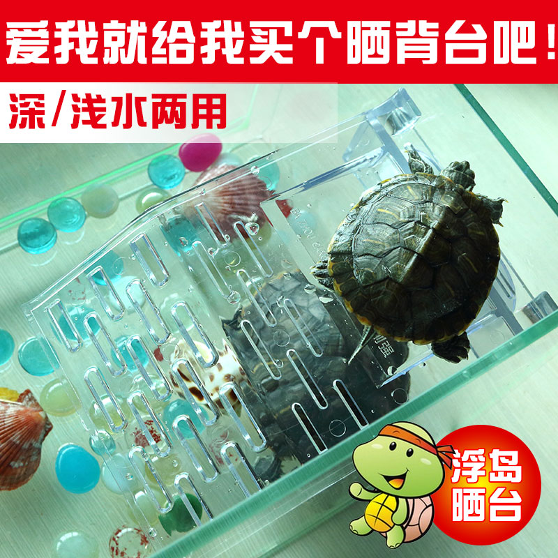 乌龟缸晒台爬台鱼缸水族箱乌龟爬坡晒背台浮台巴西龟水龟爬梯高清大图